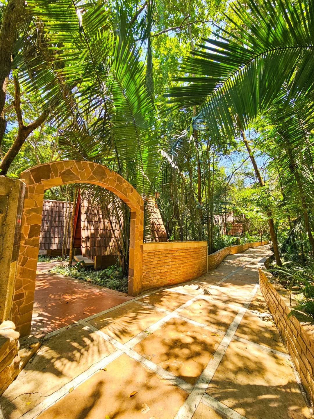 Sitio do Bosco (2)