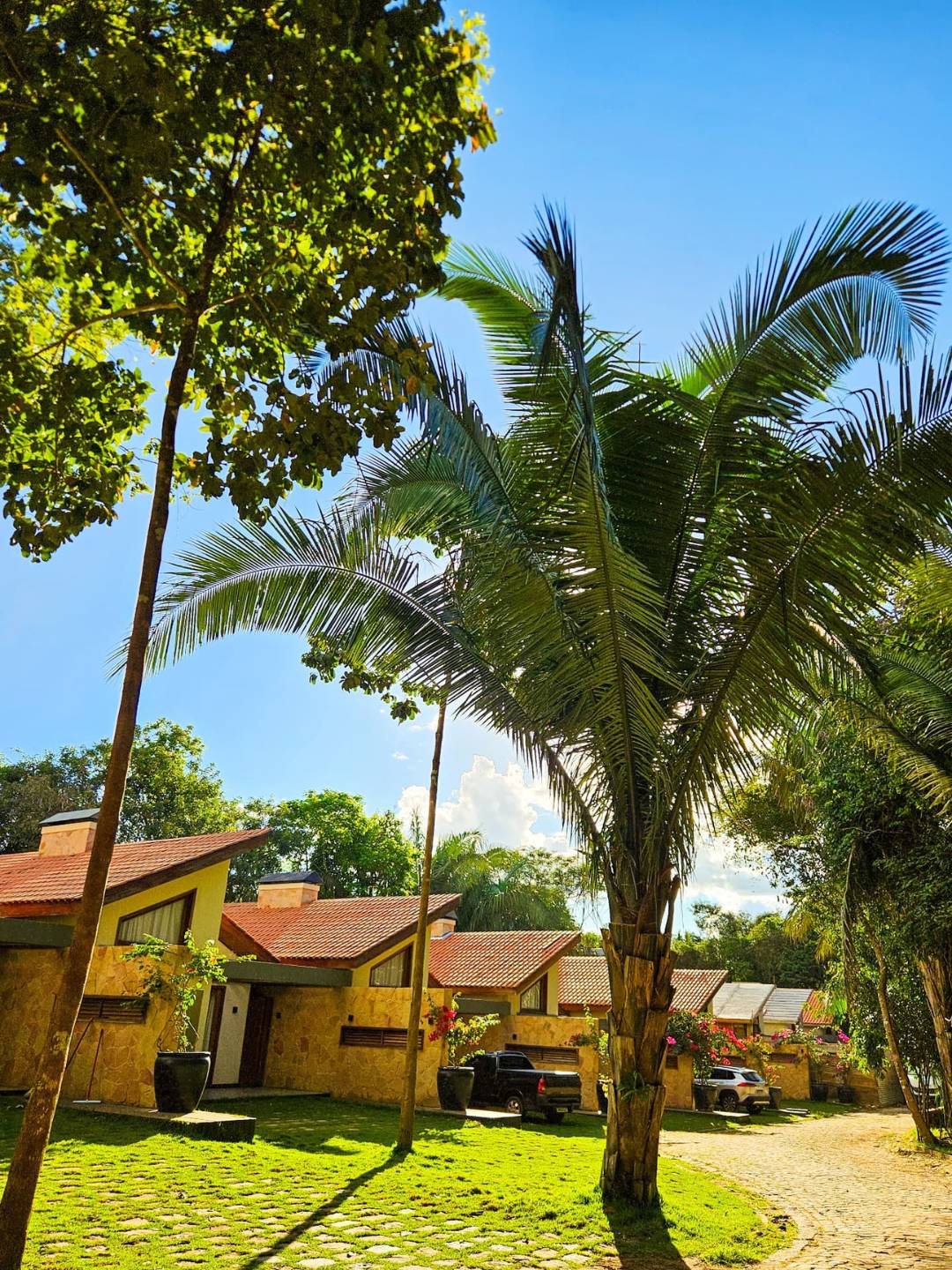 Sitio do Bosco (3)